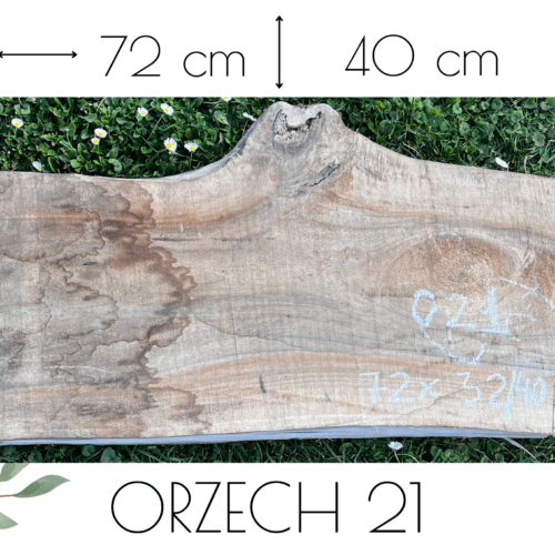 ORZECH /O21