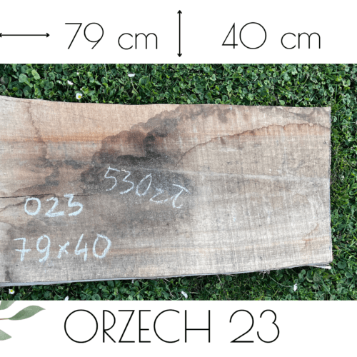 ORZECH /O23