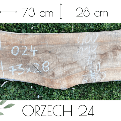 ORZECH /O24