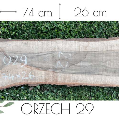 ORZECH /O29