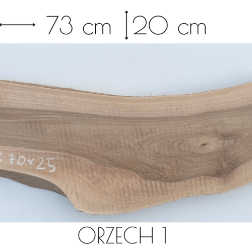 ORZECH-O1