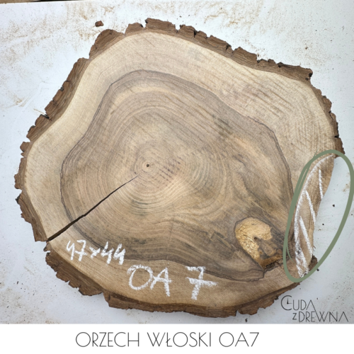 orzech-wloski-OA7