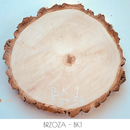 brzoza-30cm-BK1