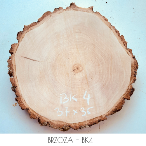 brzoza-30cm-BK4