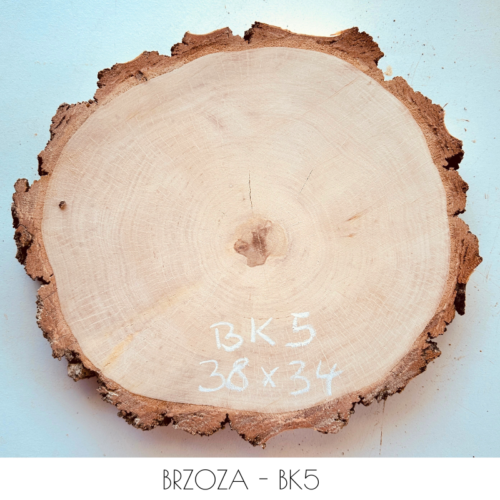 brzoza-30cm-BK5