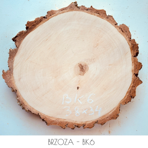 brzoza-30cm-BK6