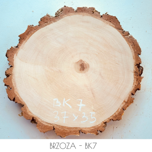 brzoza-30cm-BK7