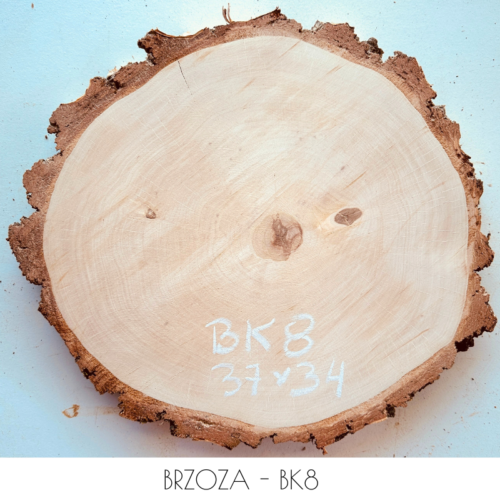 brzoza-30cm-BK8