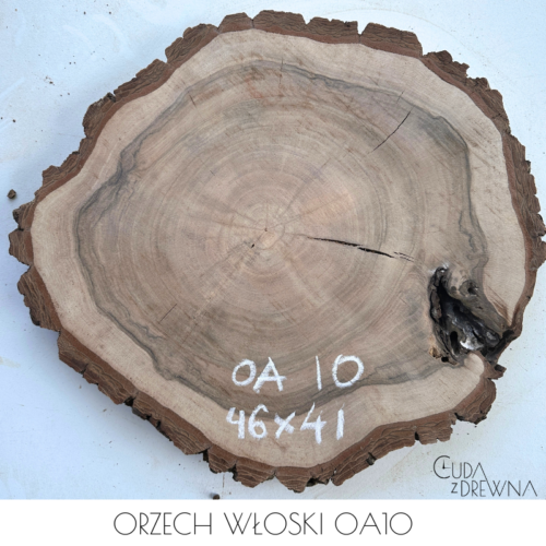 plaster-drewna-orzech-wloski-oa10