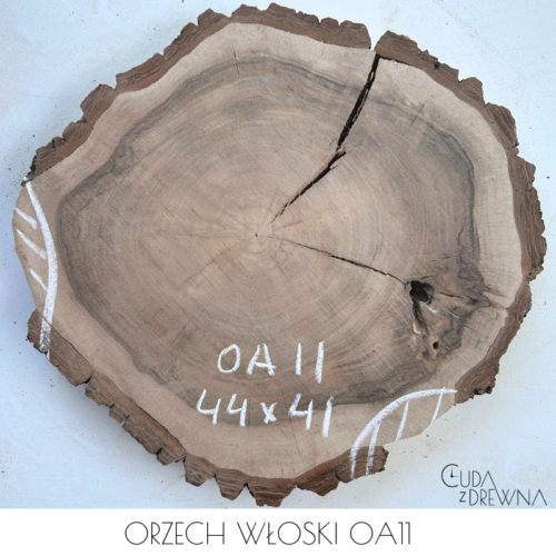 plaster-drewna-orzech-wloski-oa11