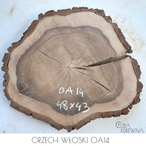 plaster-drewna-orzech-wloski-oa14